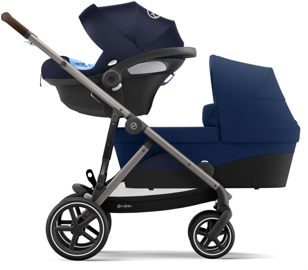 Infant online navy gazelles