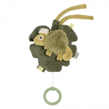 Fehn musical toy chameleon
